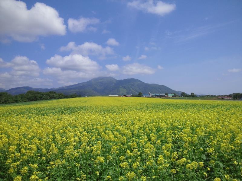 Karimpani Niseko Fujiyama Hostel Eksteriør bilde